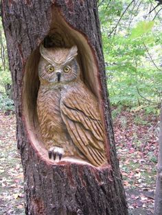 an owl carved into the side of a tree