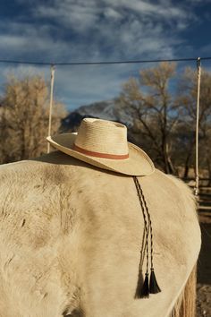 Palm Leaf Hat – Ranchlands Natural Brimmed Hat For Ranch, Natural Toquilla Straw Boater Hat For Rodeo, Natural Color Hat With Curved Brim For Country Events, Flat Brim Natural Hat For Ranch, Country Style Straw Hat With Flat Crown For Beach, Natural Color Curved Brim Hat For Country Events, Natural Curved Brim Hat For Country Events, Country Style Flat Crown Straw Hat For The Beach, Country Style Flat Crown Straw Hat For Beach