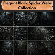 the elegant spider webs collection