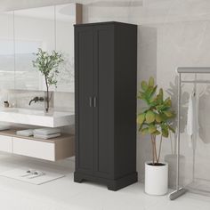 a bathroom with a sink, mirror and cabinet next to a potted plant on the floor