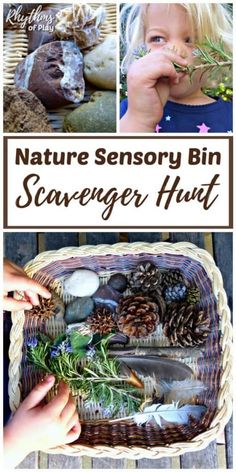 a collage of photos with the words nature sensory bin scavenger hunt