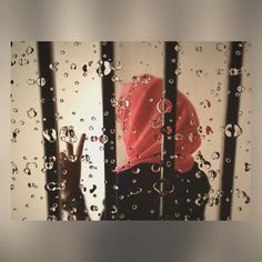 a woman wearing a red hat standing behind bars in front of a window covered with raindrops