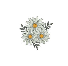 three white daisies with green leaves in the center on a white background, drawn by hand