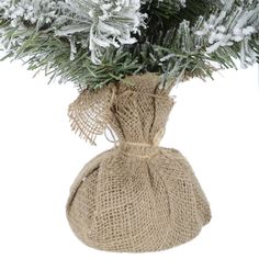 a burlock bag filled with snow covered evergreen branches