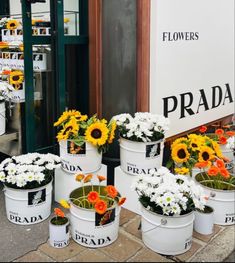 several white buckets filled with sunflowers and daisies on the side of a building