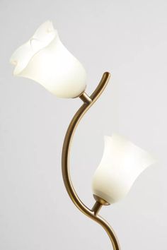 two white flowers are attached to a brass lamp