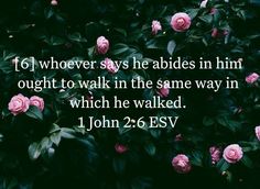 1 John 2, Bible Quotes, Verses