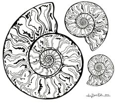 three spirals are shown in black and white, one has an intricate design on it