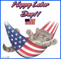 a happy labor day card with a kitten in a hammock and an american flag