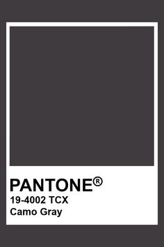 pantone's gray color is shown with the text, ` 9402 tcx camo gray