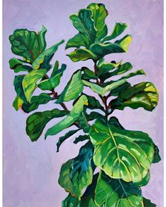 Oil Paint Plants, Oil Painting Plants, Botanical Oil Painting, Plant Painting Acrylic, Abstract Plant Painting, Plant Oil Painting, Leaf Oil Painting, Sari Shryack, Not Sorry Art