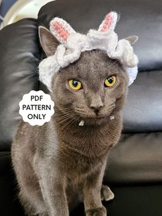 a gray cat wearing a white bunny hat on top of it's head with the words pde pattern only