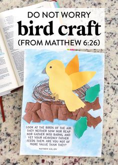 the book do not worry bird craft from mathew 6 - 26 is next to an open bible