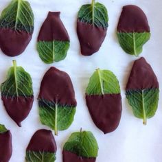 chocolate leaves are arranged on a sheet of wax paper with green leaves in the middle