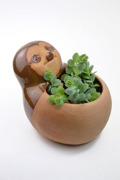 there is a small planter with succulents in the shape of a bear