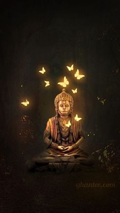 a buddha statue sitting in the middle of a forest with butterflies flying around it,