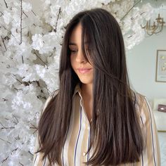 21 Best Curtain Bangs with Straight Hair Styles in 2024 - Zohna Long Curtain Bangs Long Hair Straight, Straight Hair With Face Framing, Curtain Bangs With Straight Hair, Curtain Bangs For Straight Hair, Bangs With Straight Hair, Bangs For Straight Hair, Best Curtain Bangs, Long Hair Cuts Straight, Medium Black Hair