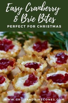 cranberry and brie bites perfect for christmas