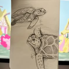 a pencil drawing of a turtle and a sea turtle