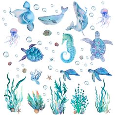 watercolor sea animals and fish are depicted in this illustration, with bubbles on the bottom