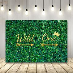 a green wall with two gold arrows and the words wild one on it, surrounded by greenery