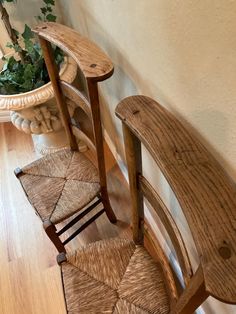 two wooden chairs sitting on top of a hard wood floor next to a potted plant