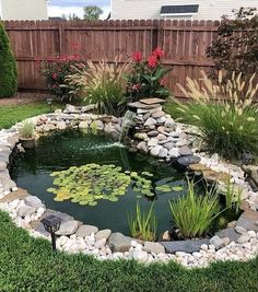 a small pond in the middle of a yard with rocks and water lilies around it