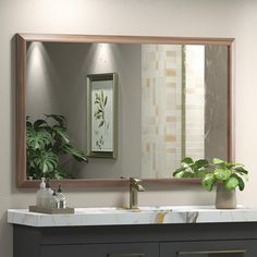 a bathroom sink with a mirror above it and a potted plant on the counter