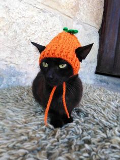 a black cat wearing an orange knitted hat