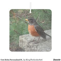 a small bird sitting on top of a rock next to a pine tree with the name jesica printed on it