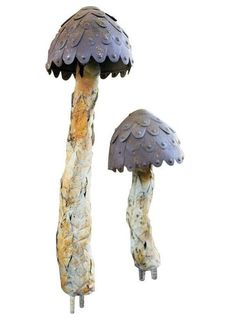 two mushrooms that are sitting on top of each other