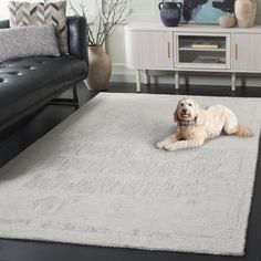 a white dog laying on top of a rug in a living room