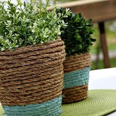 two potted plants sitting on top of a green place mat next to each other