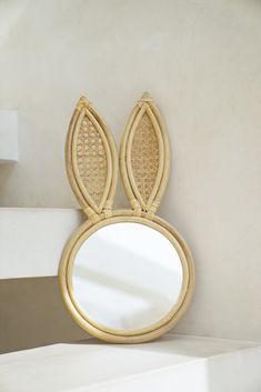 a mirror that is on the side of a white wall with an animal's head in it