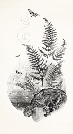 an ink drawing of ferns and butterflies in the air, with water running through them