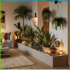 Wall Hanging Decorations, Indoor Plant Wall, تصميم داخلي فاخر, Plants Wall, Plant Decor Indoor, Hus Inspiration, House Plants Decor, Hanging Decorations, Stylish Home Decor