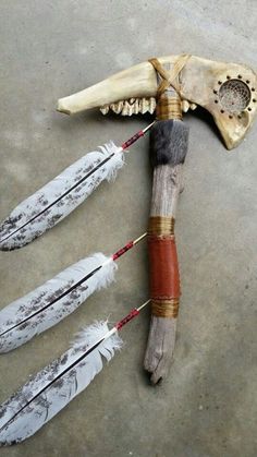 an arrow and some feathers are on the ground next to a bone with arrows sticking out of it