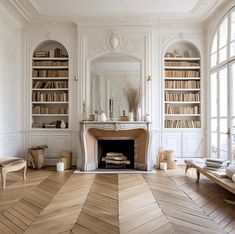 a living room filled with lots of furniture and bookshelves next to a fire place