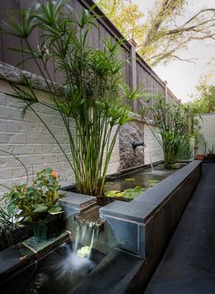 an outdoor water feature with plants in it