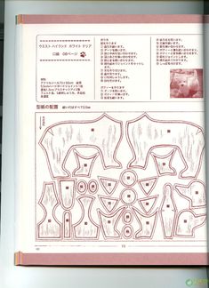 an open book with chinese writing and pictures on the pages, containing information about different types of animals