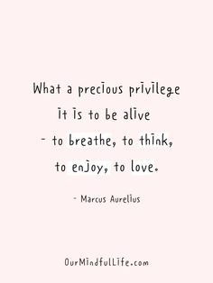 a quote that reads what a precious prilvege it is to be alive to breathe