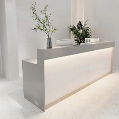 a white reception desk with a plant on top and two vases in the middle