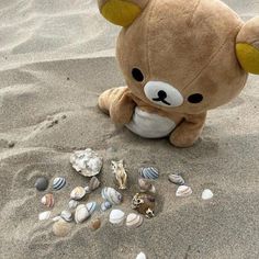 a brown teddy bear sitting in the sand with seashells on it's side