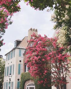 pink flowers are blooming on the trees in front of a large building with blue shutters