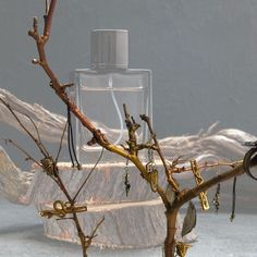 a glass bottle sitting on top of a wooden table next to a branch with keys hanging from it