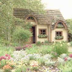 a house that is in the middle of some flowers and plants around it, with two windows on each side