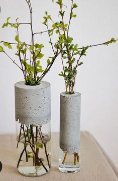 two vases with plants in them sitting on a table