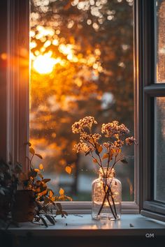 Cozy fall home decor in a glass jar on a windowsill, with the warm sunset casting an autumnal glow through the window, evoking cozy autumn season vibes. Orderly Home, Quiet Life Aesthetic, Wallpapers Preppy, Autumn Things, Cottage Vibes, Quiet Morning, Fall Wallpapers, Romanticising Life