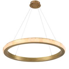 a circular light fixture with two lights hanging from it's center and the bottom