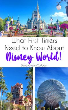 the basics of planning a vacation to disney world